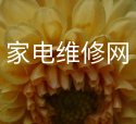 投資融資服務(wù)